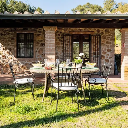 Olivo By Interhome